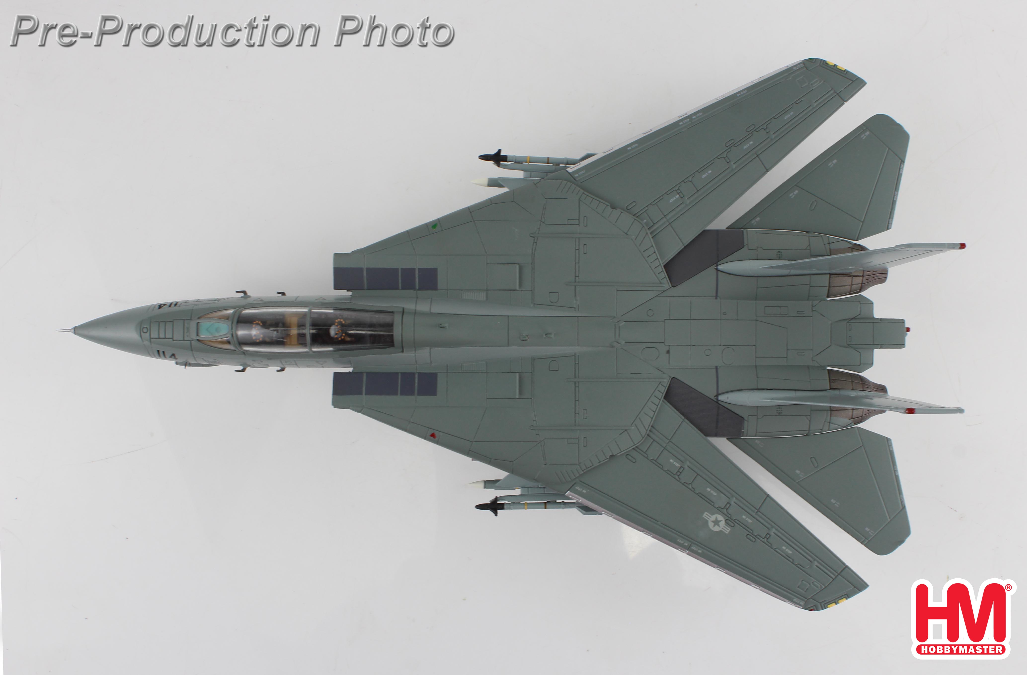 F-14A Tomcat 160665, VF-1, US Navy (w/optional decal)